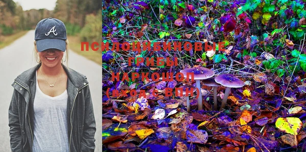PSILOCYBIN Покров